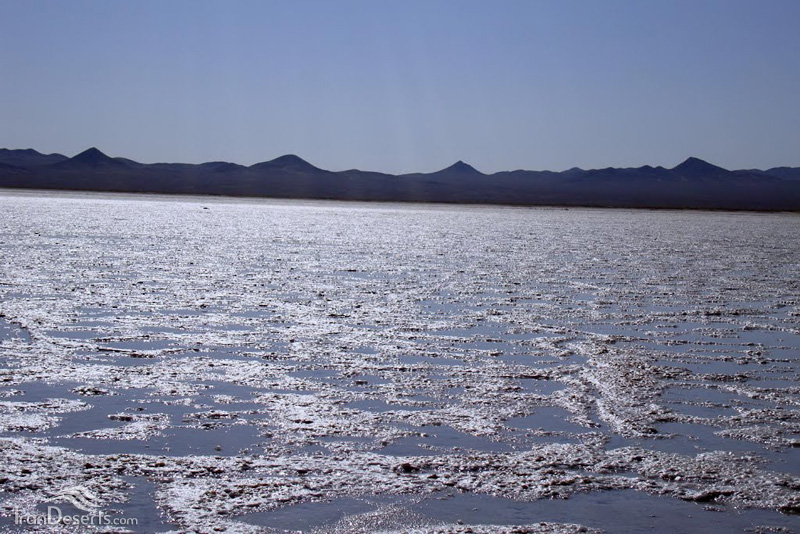 کویر حاج علی قلی